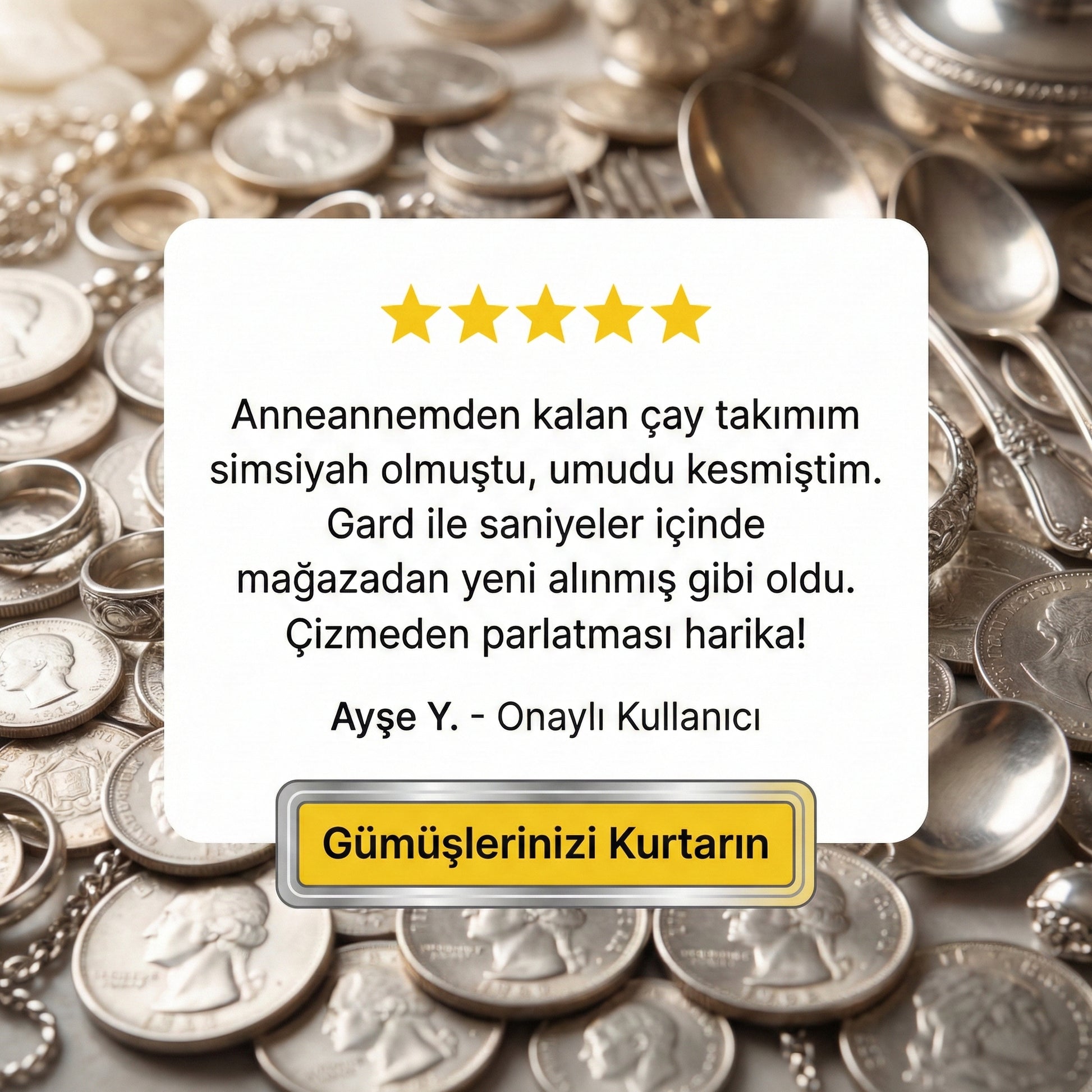 Gard Gümüş Şampuanı Takı & Antika Gümüş Temizleyici